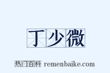 丁少微是什么意思的图片